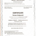 Powiększ obraz: certificate 21