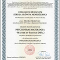 Powiększ obraz: certificate 4