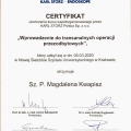 Powiększ obraz: certificate 12