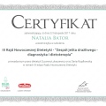 Powiększ obraz: certificate 11
