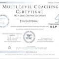 Powiększ obraz: certificate 3