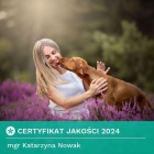 mgr Katarzyna Wikło