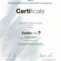 Powiększ obraz: certificate 25