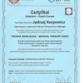 Powiększ obraz: certificate 9