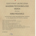 Powiększ obraz: certificate 6