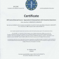 Powiększ obraz: certificate 18