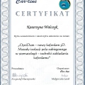 Powiększ obraz: certificate 8