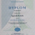 Powiększ obraz: certificate 3