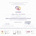 Powiększ obraz: certificate 4