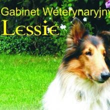 Powiększ obraz: Grzegorz Stacharski, weterynarz Kraków