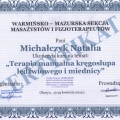 Powiększ obraz: certificate 10