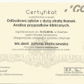 Powiększ obraz: certificate 13