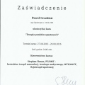 Powiększ obraz: certificate 6