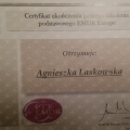 Powiększ obraz: certificate 8