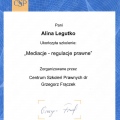 Powiększ obraz: certificate 8