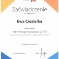 Powiększ obraz: certificate 11