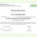 Powiększ obraz: certificate 2
