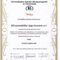 Powiększ obraz: certificate 2