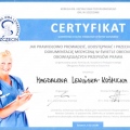 Powiększ obraz: certificate 11