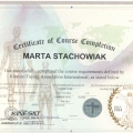Powiększ obraz: certificate 29