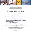 Powiększ obraz: certificate 3