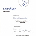Powiększ obraz: certificate 14