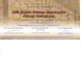 Powiększ obraz: certificate 4