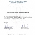 Powiększ obraz: certificate 2