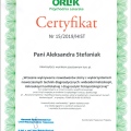 Powiększ obraz: certificate 8