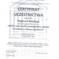 Powiększ obraz: certificate 10