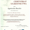 Powiększ obraz: certificate 10