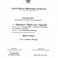 Powiększ obraz: certificate 3