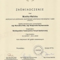 Powiększ obraz: certificate 1