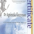 Powiększ obraz: certificate 2