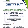 Powiększ obraz: certificate 10