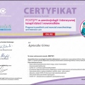Powiększ obraz: certificate 10