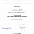 Powiększ obraz: certificate 6