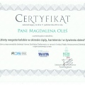 Powiększ obraz: certificate 21