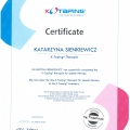 Powiększ obraz: certificate 14