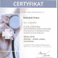 Powiększ obraz: certificate 13