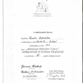 Powiększ obraz: certificate 3