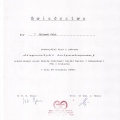 Powiększ obraz: certificate 11