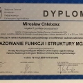 Powiększ obraz: certificate 11