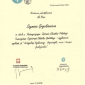 Powiększ obraz: certificate 34