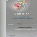 Powiększ obraz: certificate 10