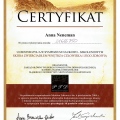 Powiększ obraz: certificate 22