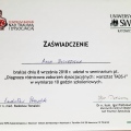 Powiększ obraz: certificate 2