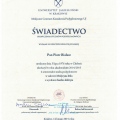 Powiększ obraz: certificate 1