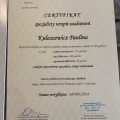 Powiększ obraz: certificate 3
