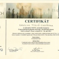 Powiększ obraz: certificate 17